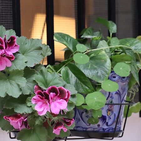 סביליה Apartamento Corral De Triana מראה חיצוני תמונה