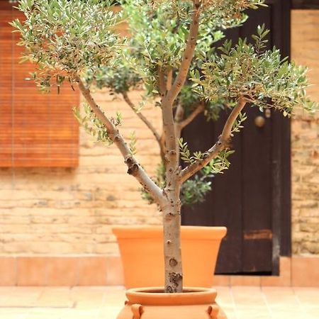 סביליה Apartamento Corral De Triana מראה חיצוני תמונה