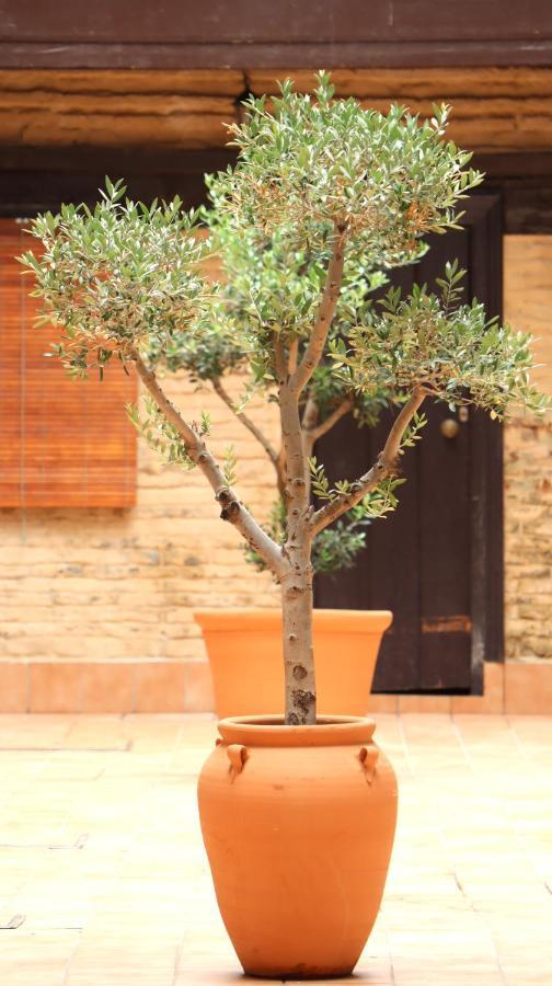 סביליה Apartamento Corral De Triana מראה חיצוני תמונה
